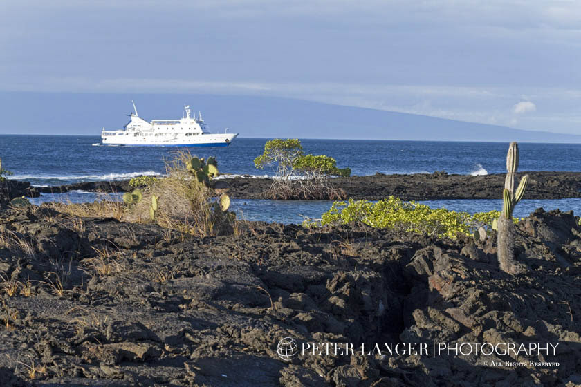 %_tempFileNameexpeditions032%