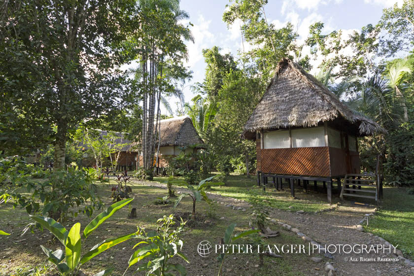 %_tempFileNamejunglelodges002%