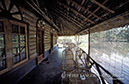 %_tempFileNamejunglelodges013%
