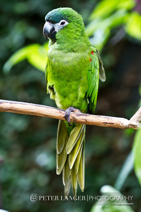 %_tempFileNamepets019%