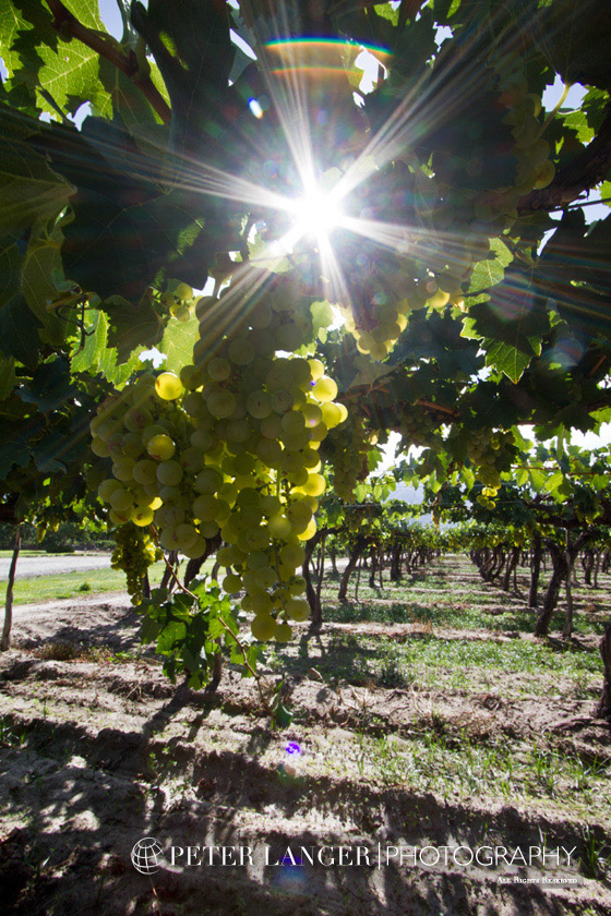 %_tempFileNamewine010%